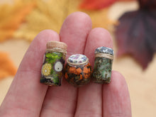 Load image into Gallery viewer, Set of Three Autumn Vegetable Preserve Jars – Miniature Food – OOAK 1:12 Scale