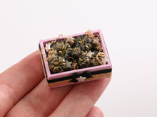 Load image into Gallery viewer, Pink Crate of Black &amp; Gold Coloured Pumpkins with Glow in the Dark Stars - 12th Scale Handmade Dollhouse Miniature