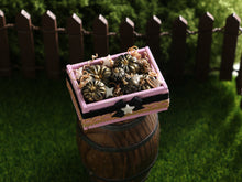 Load image into Gallery viewer, Pink Crate of Black &amp; Gold Coloured Pumpkins with Glow in the Dark Stars - 12th Scale Handmade Dollhouse Miniature
