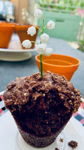 Chocolate Muffin Flowerpot " Cake Decorated with a Sugar Rose - Handmade Miniature Food