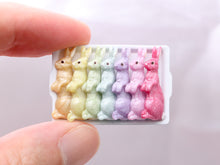 Load image into Gallery viewer, Rainbow Rabbits Easter Bunny Candy Display - Handmade Miniature Food