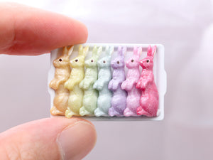 Rainbow Rabbits Easter Bunny Candy Display - Handmade Miniature Food