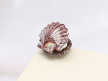 Load image into Gallery viewer, Traditional French Chocolate Scallop Shell for Easter - 4 Choices - Miniature Food