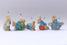 Load image into Gallery viewer, Official Peter Rabbit Decorative Miniature Ornaments - 12th Scale Dollhouse Miniature