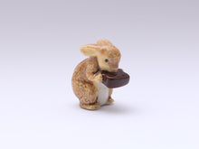 Load image into Gallery viewer, Official Peter Rabbit Decorative Miniature Ornaments - 12th Scale Dollhouse Miniature
