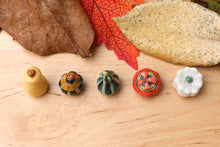 Load image into Gallery viewer, Autumn-themed French Porcelain Fèves - Butternut, Gourdes, Pumpkins - 12th Scale Decoration