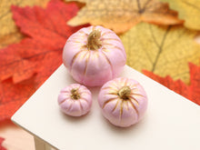 Load image into Gallery viewer, Set of Three Decorative Pumpkins - Baby Pink with Gold Stalks - Autumn Handmade Dollhouse Miniature