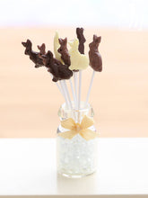 Load image into Gallery viewer, Display of Chocolate Easter Bunny Lollipops (Three Each of Dark, Milk and White Chocolate)