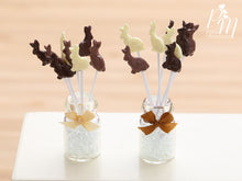 Load image into Gallery viewer, Display of Chocolate Easter Bunny Lollipops (Three Each of Dark, Milk and White Chocolate)